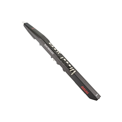 Electronic Wind Instruments