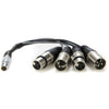 Câble d'épanouissement XLR Atomos Entrée Sortie