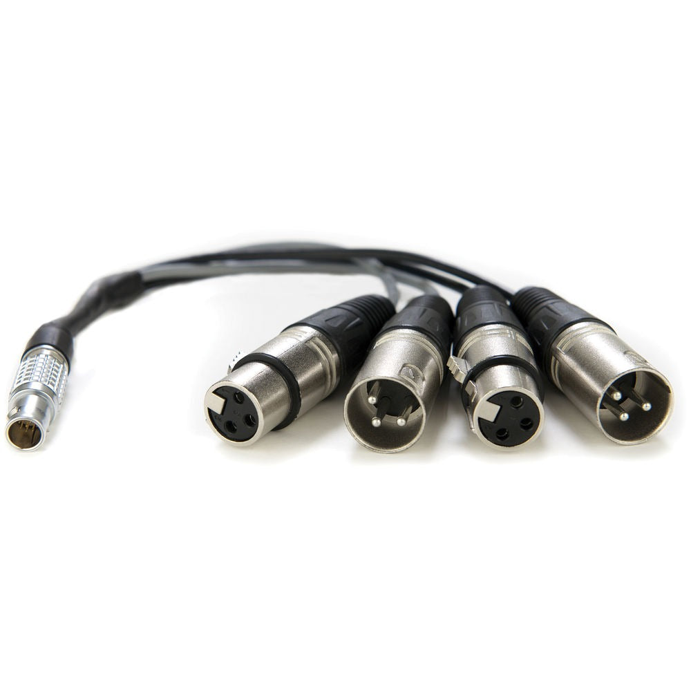 Câble d'épanouissement XLR Atomos Entrée Sortie