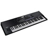 Korg LTD Wavestate SE Synthesizer 61-Key