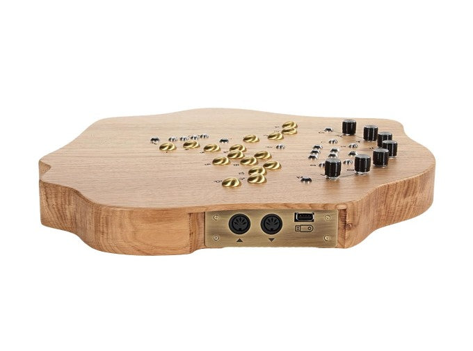 Soma Laboratory Terra Desktop Touch Synthesizer Light Wood