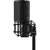 Microphone à condensateur multi-directivité à double diaphragme Shure KSM44MP