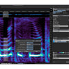 Steinberg SpectraLayers Elements 13 Full Version