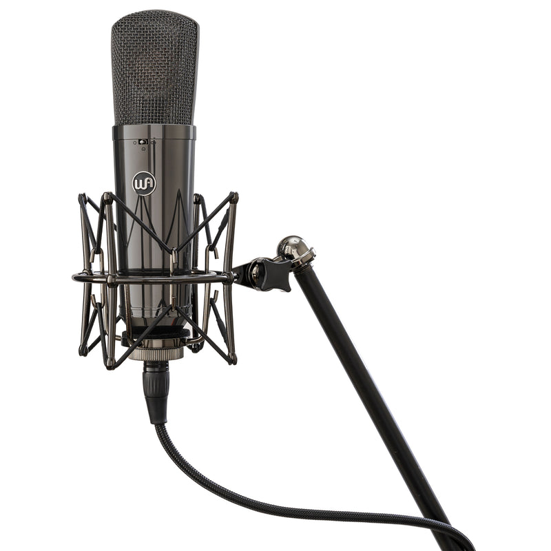 Warm Audio WA87-R2-TS Titanium Microphones Stereo Pair