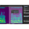 Steinberg SpectraLayers Elements 13 Full Version