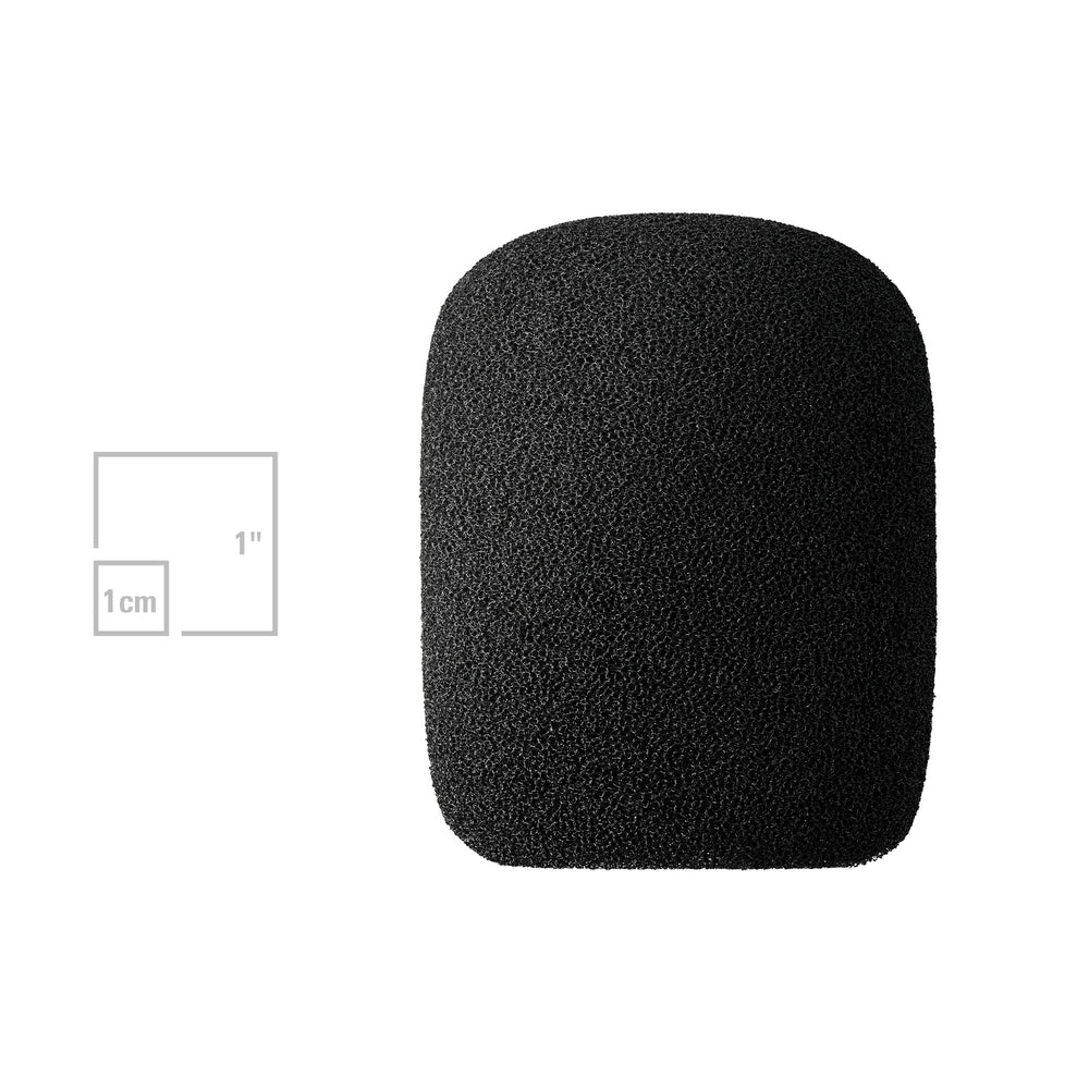 Audio Technica AT8178 20-Series Windscreen