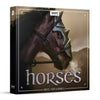 Boom Horses