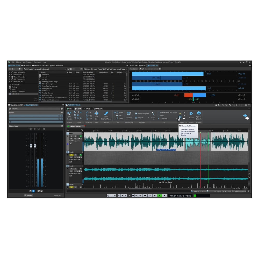 Steinberg WaveLab Cast 12 Full Version