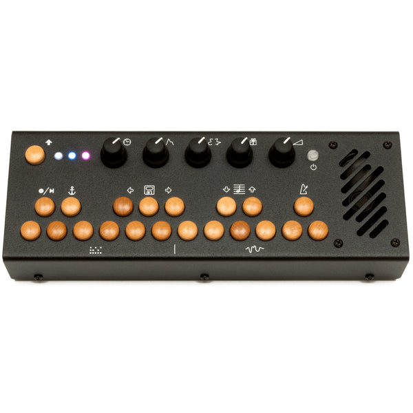 Critter & Guitari 201 Pocket Piano Black