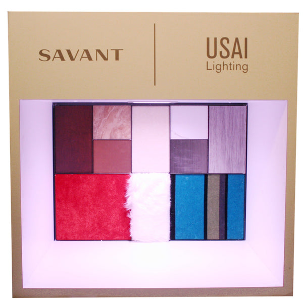 Kit de démonstration portable Savant Light Matters