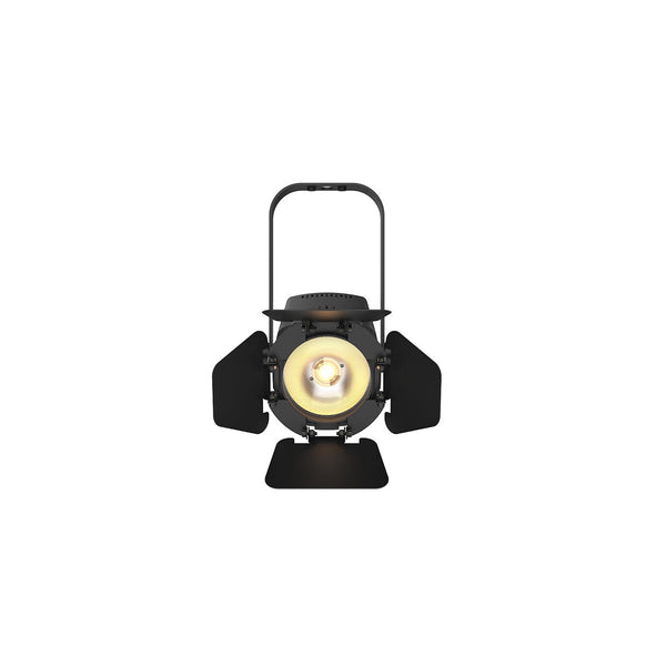 Chauvet DJ EVE-TF20X Luminaire d'accentuation LED (Noir)