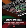 Eastwest EastWest - STRING MACHINE - Back to the Retro Future