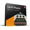 Ik Multimedia Lo-Fi Punch - Modules T-RackS