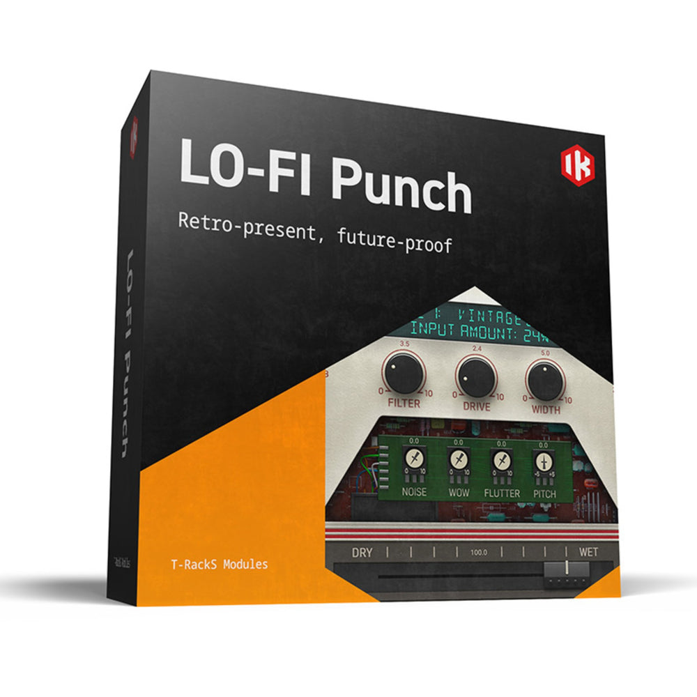 Ik Multimedia Lo-Fi Punch - Modules T-RackS