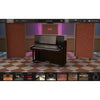 Ik Multimedia Pianoverse Royal Upright Y5