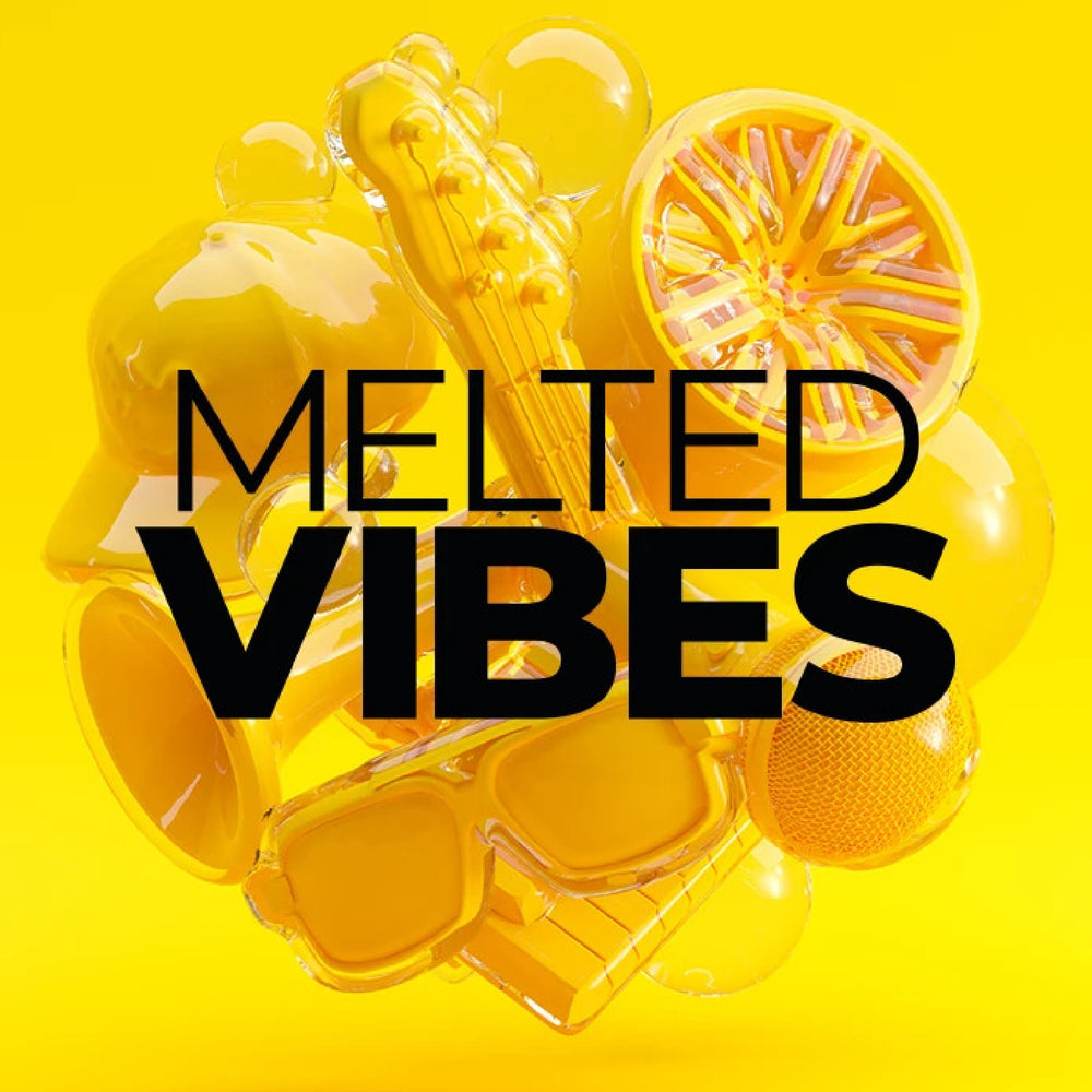 Native Instruments Melted Vibes - MPC Edition