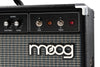 Moog Music Model 210 - 2x10-inch, 4-channel Instrument Amp