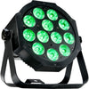 Eliminator Low Profile PAR Fixture with 12 ? 4W RGB+UV LED