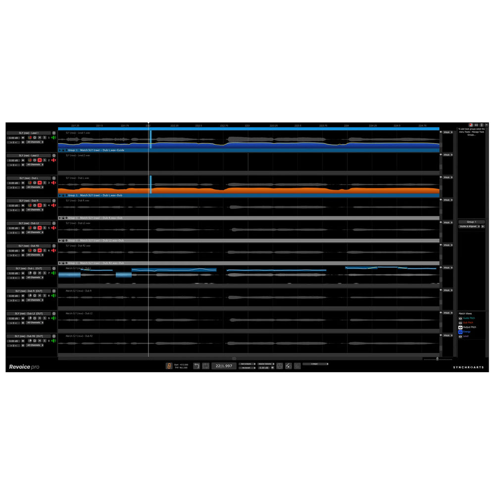 Synchro Arts Revoice Pro 5 Upgrade