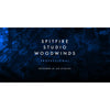 Spitfire Audio Spitfire Studio Woodwinds Professional
