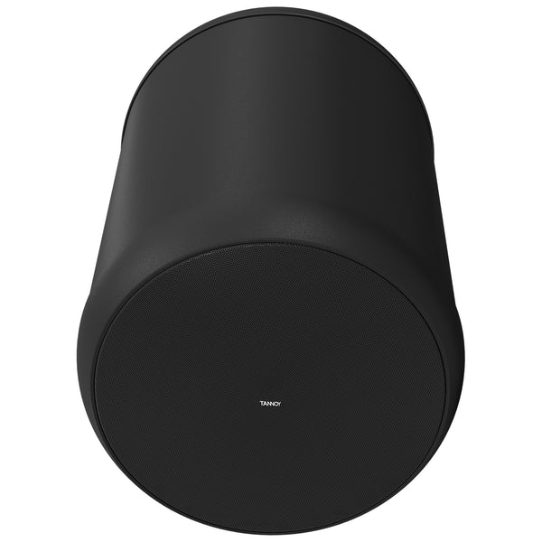 Enceinte coaxiale suspendue noire Tannoy OCV 6