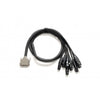 Warm Audio Prem-DB25-XLRF-10 XLR-Female - 10ft