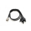 Warm Audio Prem-DB25-XLRM-10 XLR-Male - 10ft