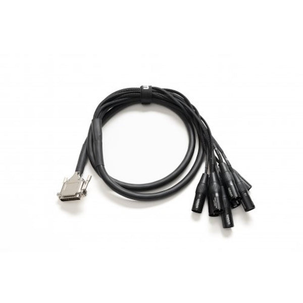 Warm Audio Prem-DB25-XLRM-10 XLR-Male - 10ft
