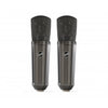 Warm Audio WA87-R2-TS Condenser Mic Matched Pair - Titanium