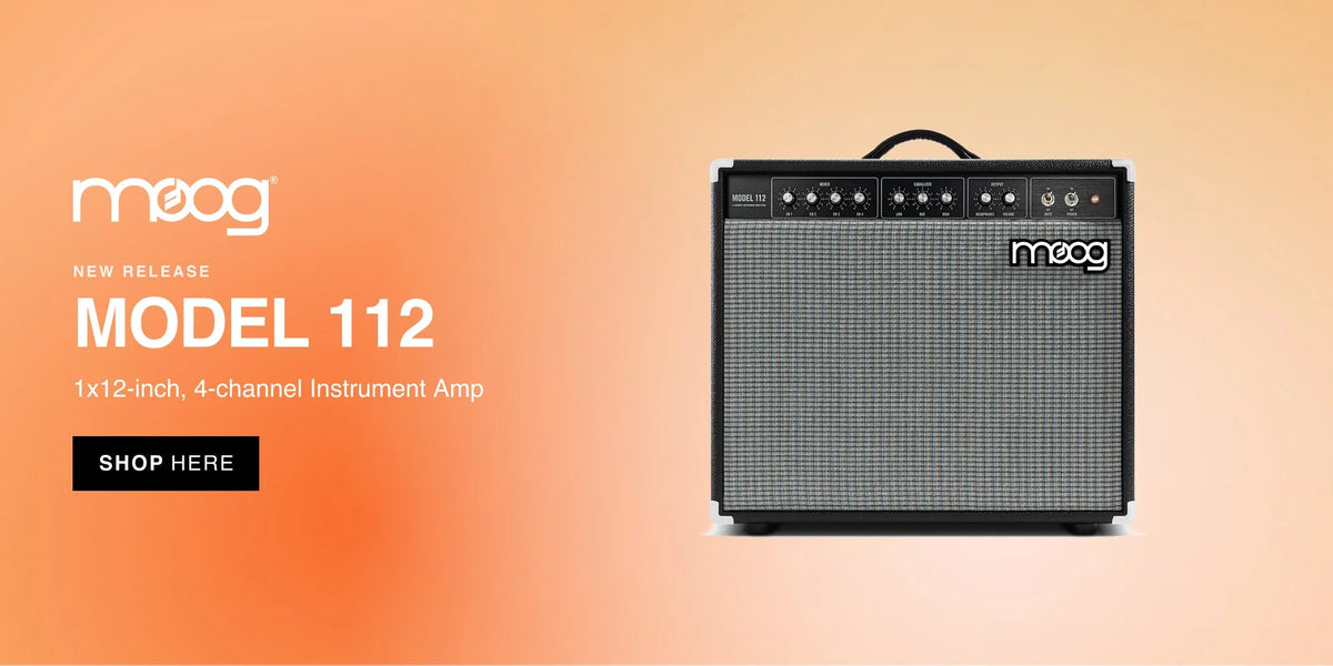Moog Amps