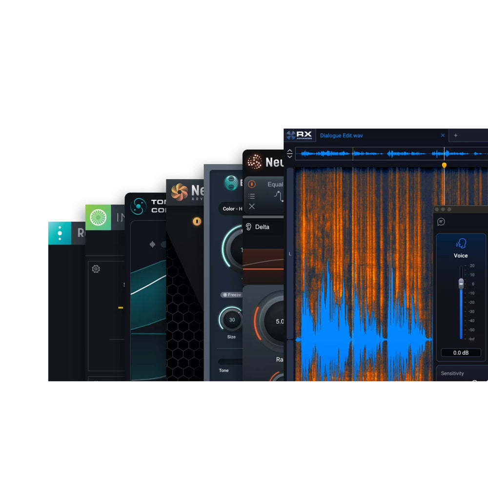 iZotope RX Post Production Suite 9