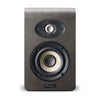 Focal Shape 40 Walnut (Demo)
