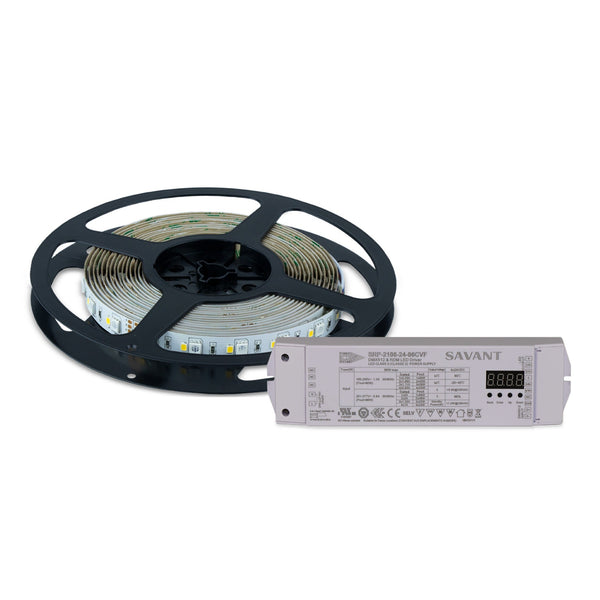 Kit de démarrage Savant pour bande lumineuse DMX Wrgb (5 m)