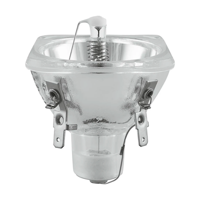 Lamp and Bulbs