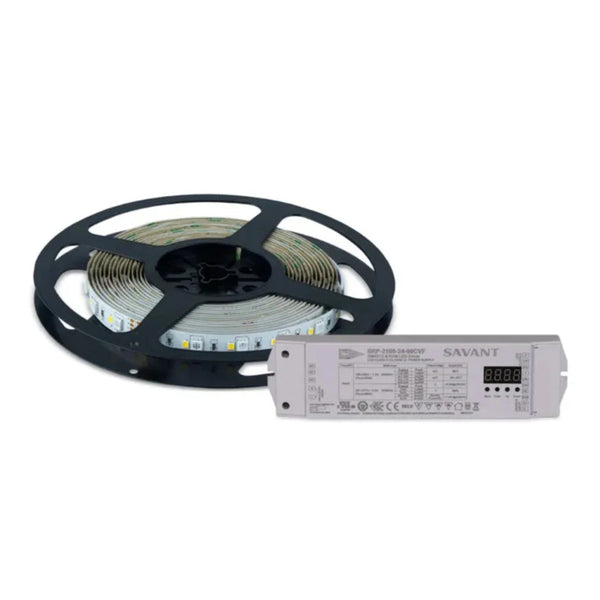 Kit de démarrage Savant pour bande lumineuse blanche réglable DMX (5 m)