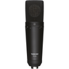 Tascam TM-180 Studio Condenser Microphone W/Shockmount